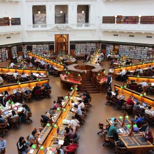 Higher Ed LMS