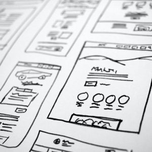 White Label LMS: What is it and Why is it Important?